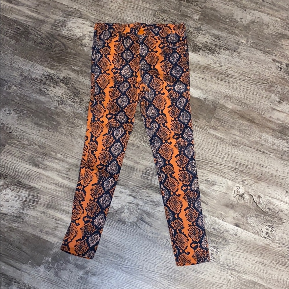 High waisted stretch cotton pant in snake print